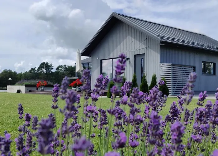 Paernu Joe Holiday home Tammiste